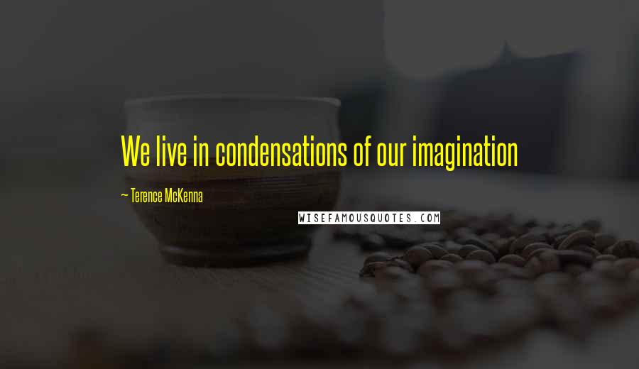Terence McKenna Quotes: We live in condensations of our imagination