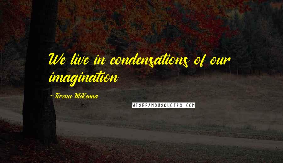 Terence McKenna Quotes: We live in condensations of our imagination