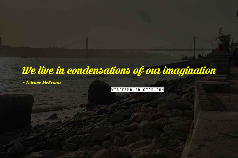 Terence McKenna Quotes: We live in condensations of our imagination