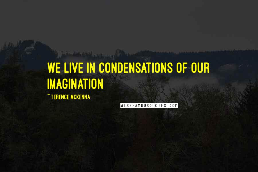 Terence McKenna Quotes: We live in condensations of our imagination
