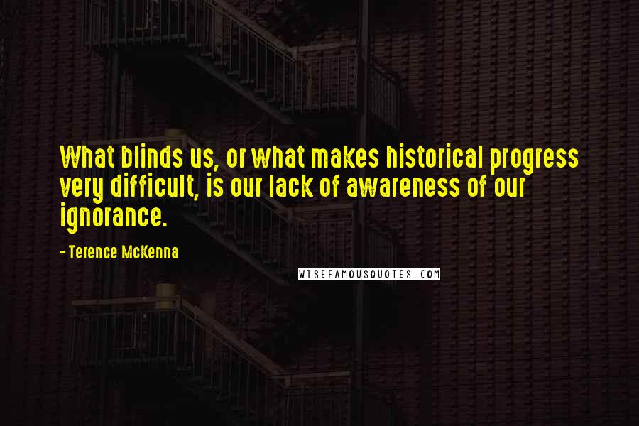 Terence McKenna Quotes: What blinds us, or what makes historical progress very difficult, is our lack of awareness of our ignorance.