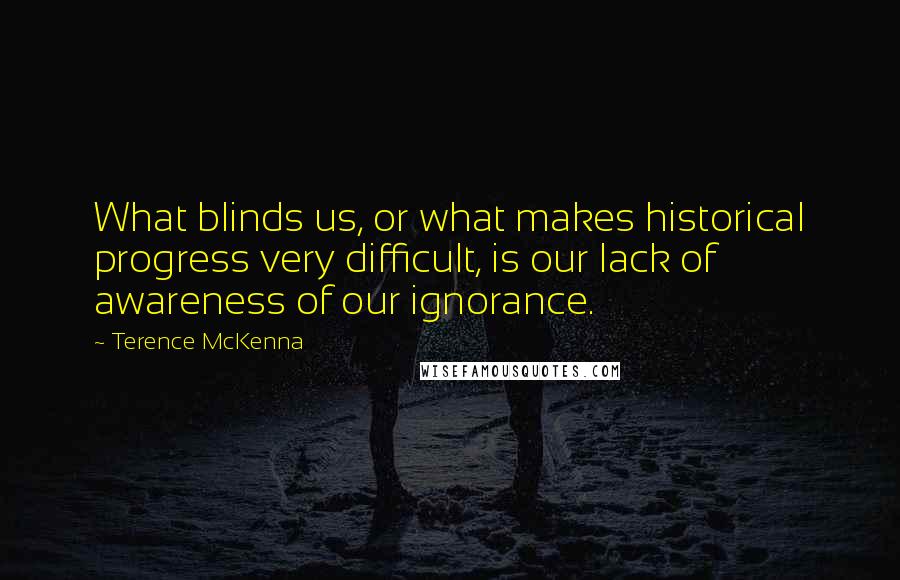 Terence McKenna Quotes: What blinds us, or what makes historical progress very difficult, is our lack of awareness of our ignorance.