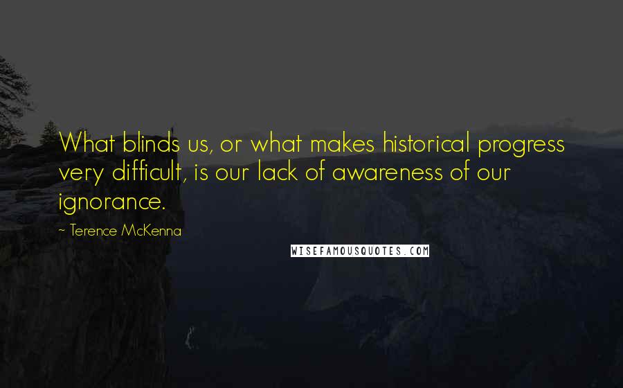 Terence McKenna Quotes: What blinds us, or what makes historical progress very difficult, is our lack of awareness of our ignorance.