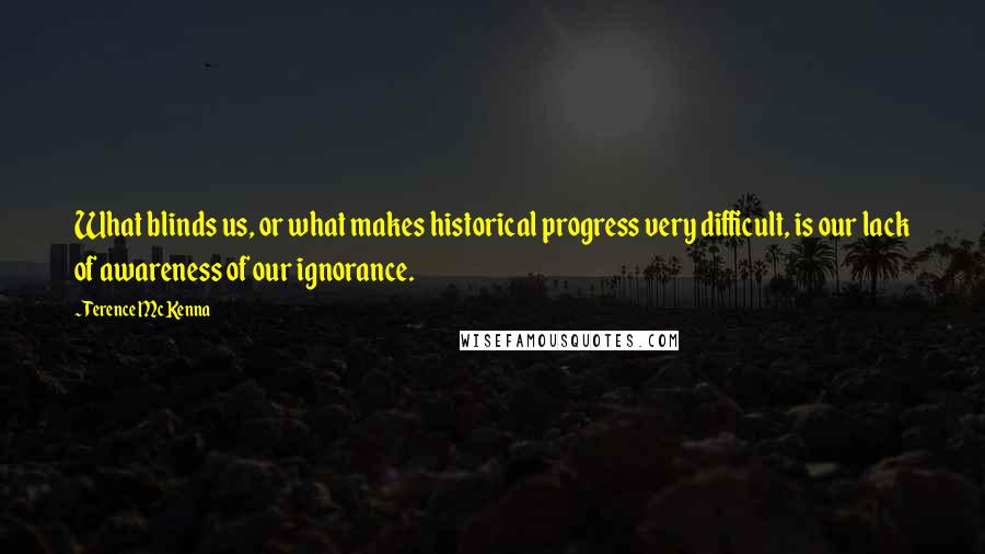 Terence McKenna Quotes: What blinds us, or what makes historical progress very difficult, is our lack of awareness of our ignorance.