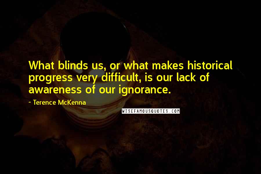 Terence McKenna Quotes: What blinds us, or what makes historical progress very difficult, is our lack of awareness of our ignorance.