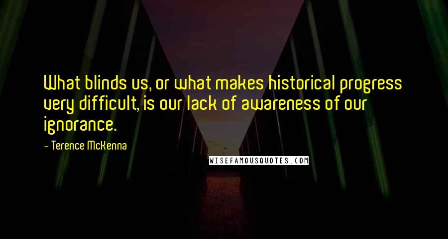 Terence McKenna Quotes: What blinds us, or what makes historical progress very difficult, is our lack of awareness of our ignorance.