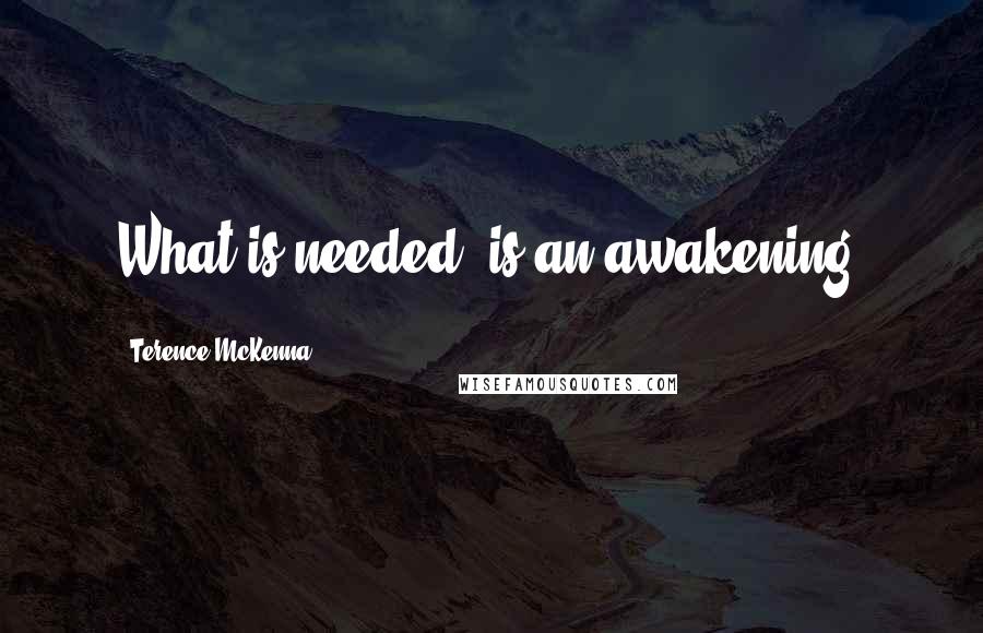 Terence McKenna Quotes: What is needed, is an awakening.