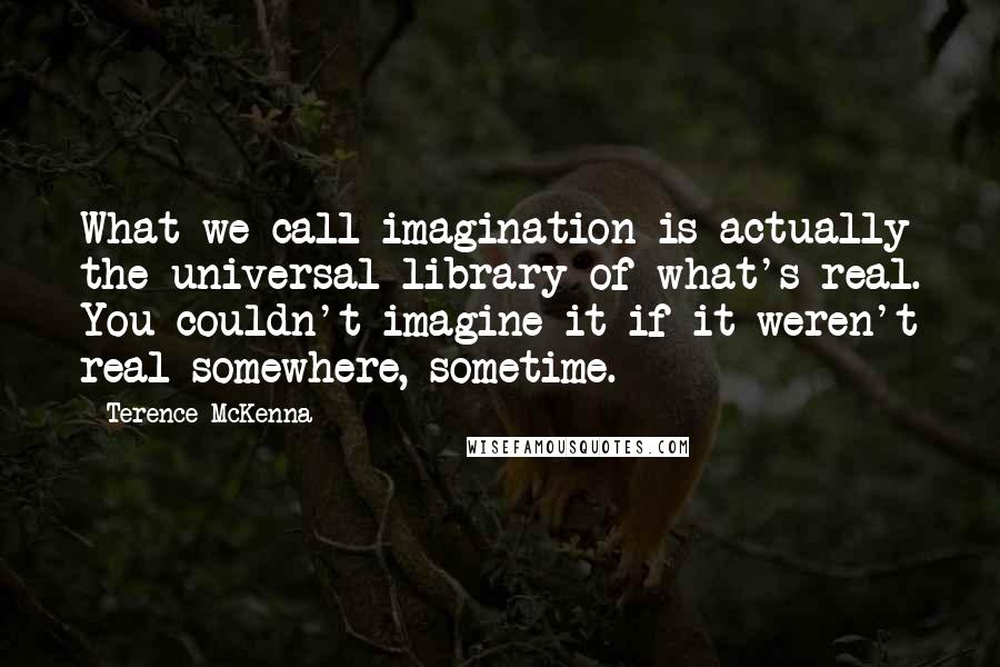 Terence McKenna Quotes: What we call imagination is actually the universal library of what's real. You couldn't imagine it if it weren't real somewhere, sometime.