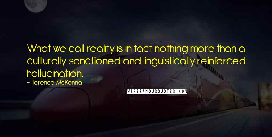 Terence McKenna Quotes: What we call reality is in fact nothing more than a culturally sanctioned and linguistically reinforced hallucination.