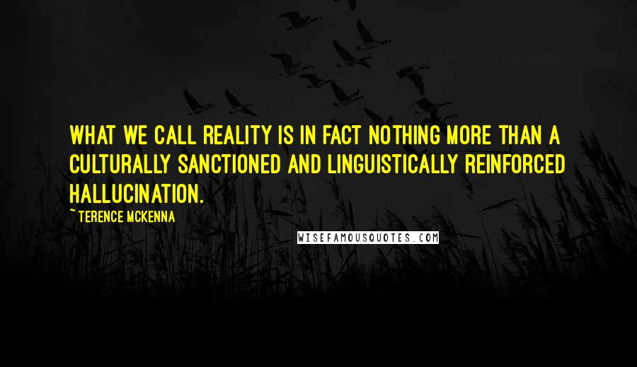 Terence McKenna Quotes: What we call reality is in fact nothing more than a culturally sanctioned and linguistically reinforced hallucination.