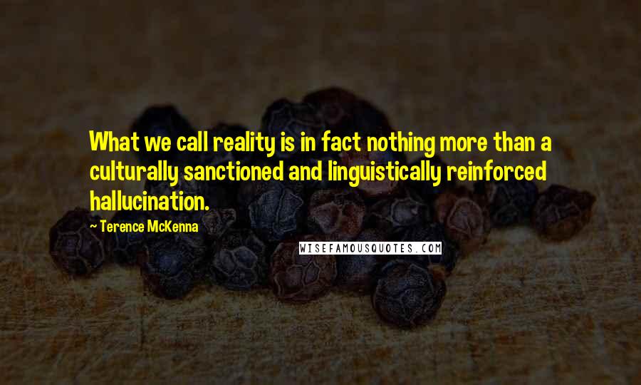 Terence McKenna Quotes: What we call reality is in fact nothing more than a culturally sanctioned and linguistically reinforced hallucination.