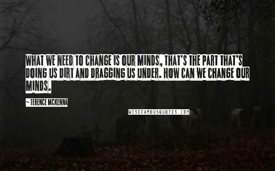 Terence McKenna Quotes: What we need to change is our minds, that's the part that's doing us dirt and dragging us under. How can we change our minds.