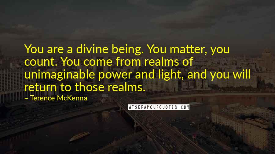 Terence McKenna Quotes: You are a divine being. You matter, you count. You come from realms of unimaginable power and light, and you will return to those realms.