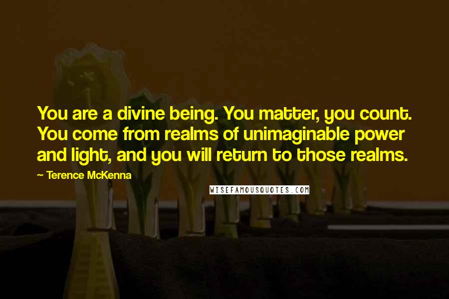 Terence McKenna Quotes: You are a divine being. You matter, you count. You come from realms of unimaginable power and light, and you will return to those realms.