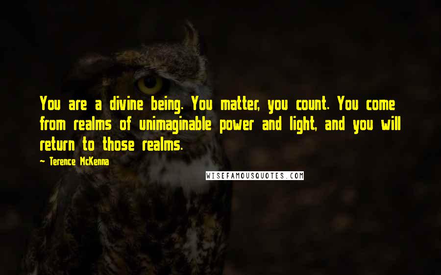 Terence McKenna Quotes: You are a divine being. You matter, you count. You come from realms of unimaginable power and light, and you will return to those realms.