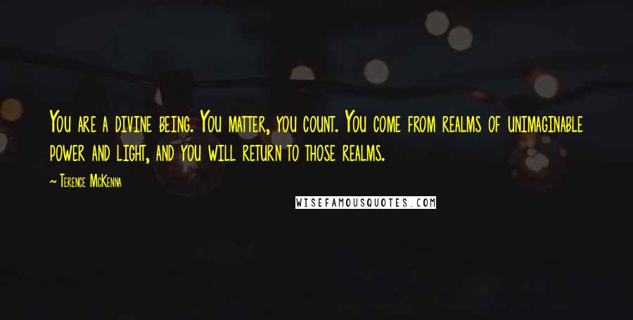 Terence McKenna Quotes: You are a divine being. You matter, you count. You come from realms of unimaginable power and light, and you will return to those realms.