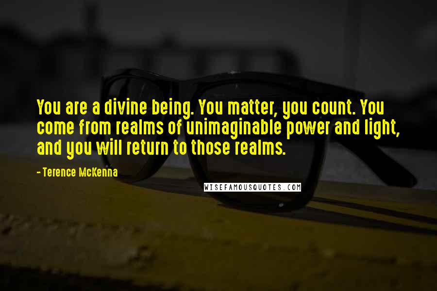 Terence McKenna Quotes: You are a divine being. You matter, you count. You come from realms of unimaginable power and light, and you will return to those realms.