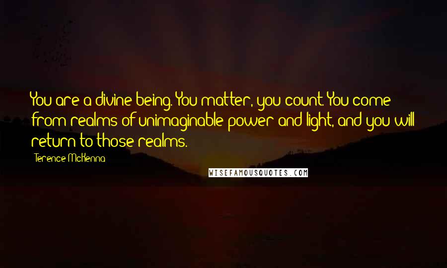 Terence McKenna Quotes: You are a divine being. You matter, you count. You come from realms of unimaginable power and light, and you will return to those realms.