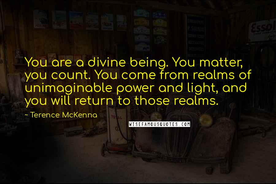 Terence McKenna Quotes: You are a divine being. You matter, you count. You come from realms of unimaginable power and light, and you will return to those realms.