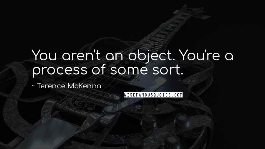 Terence McKenna Quotes: You aren't an object. You're a process of some sort.