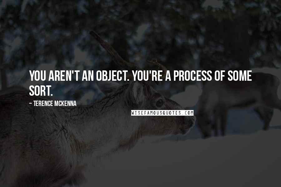 Terence McKenna Quotes: You aren't an object. You're a process of some sort.