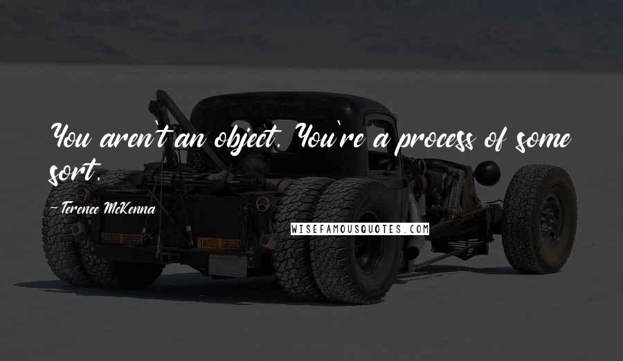 Terence McKenna Quotes: You aren't an object. You're a process of some sort.