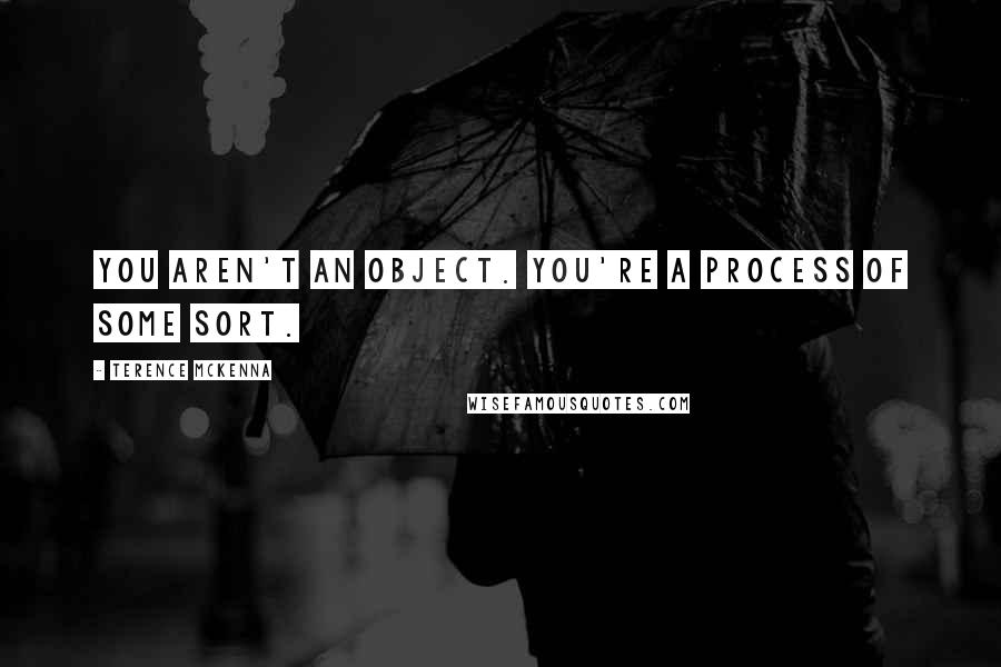 Terence McKenna Quotes: You aren't an object. You're a process of some sort.