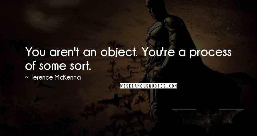 Terence McKenna Quotes: You aren't an object. You're a process of some sort.