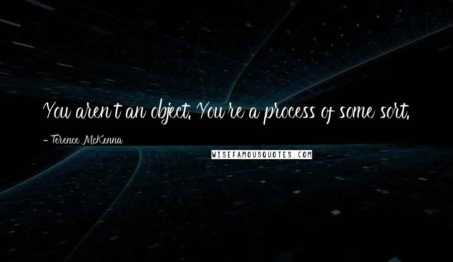 Terence McKenna Quotes: You aren't an object. You're a process of some sort.