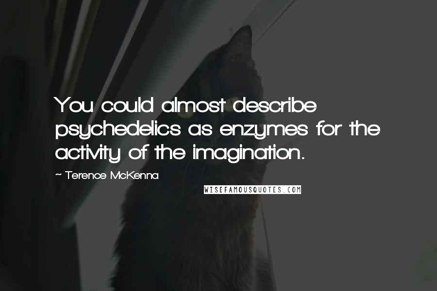 Terence McKenna Quotes: You could almost describe psychedelics as enzymes for the activity of the imagination.