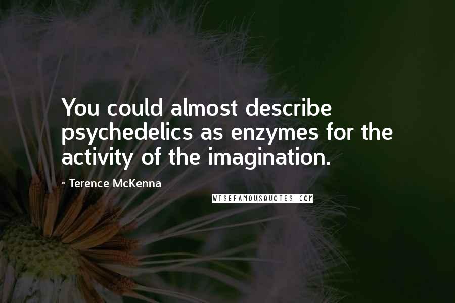 Terence McKenna Quotes: You could almost describe psychedelics as enzymes for the activity of the imagination.