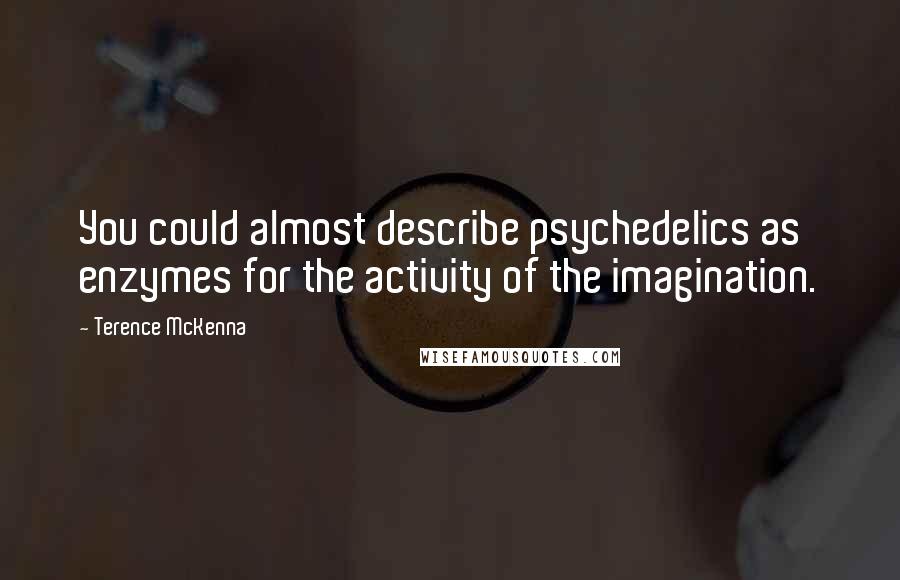 Terence McKenna Quotes: You could almost describe psychedelics as enzymes for the activity of the imagination.