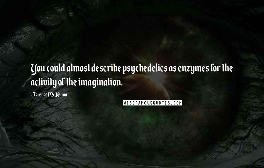 Terence McKenna Quotes: You could almost describe psychedelics as enzymes for the activity of the imagination.