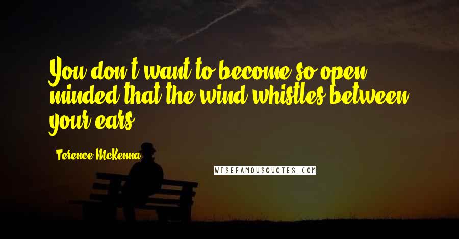 Terence McKenna Quotes: You don't want to become so open minded that the wind whistles between your ears.