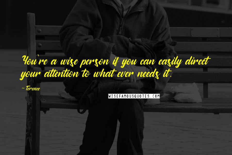 Terence Quotes: You're a wise person if you can easily direct your attention to what ever needs it.