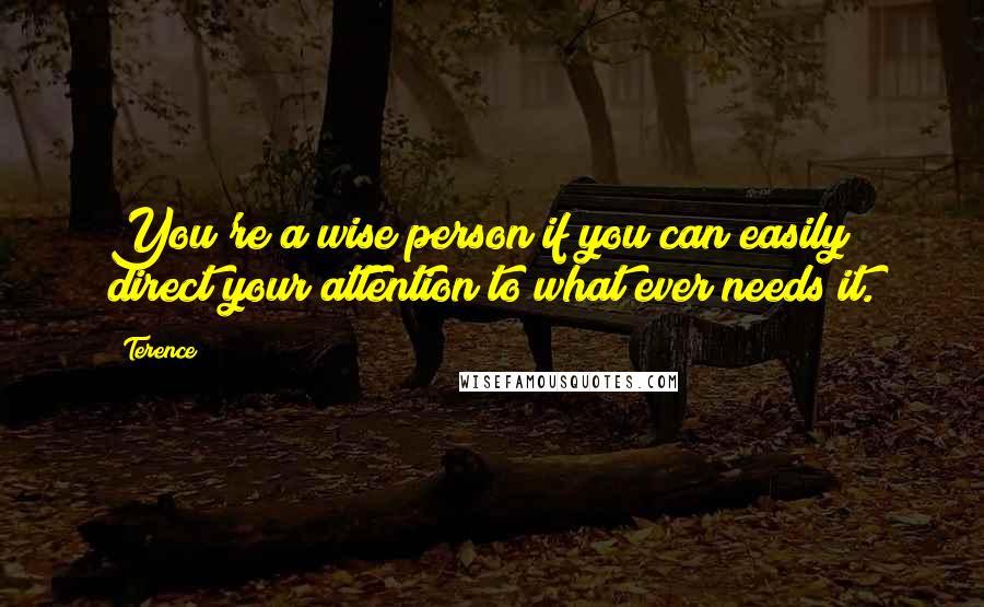 Terence Quotes: You're a wise person if you can easily direct your attention to what ever needs it.