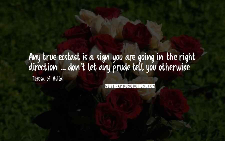 Teresa Of Avila Quotes: Any true ecstast is a sign you are going in the right direction ... don't let any prude tell you otherwise