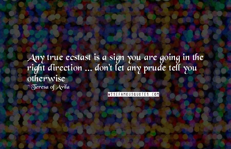 Teresa Of Avila Quotes: Any true ecstast is a sign you are going in the right direction ... don't let any prude tell you otherwise