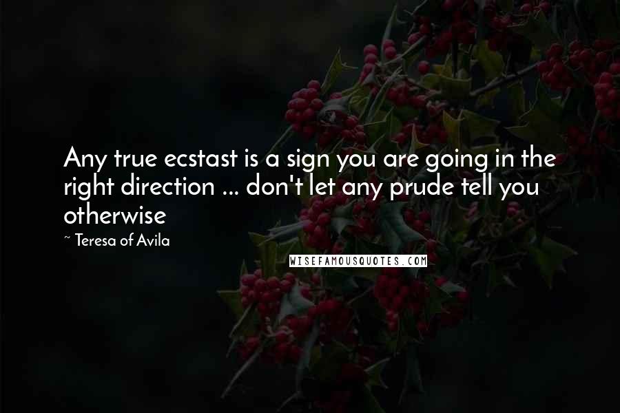 Teresa Of Avila Quotes: Any true ecstast is a sign you are going in the right direction ... don't let any prude tell you otherwise