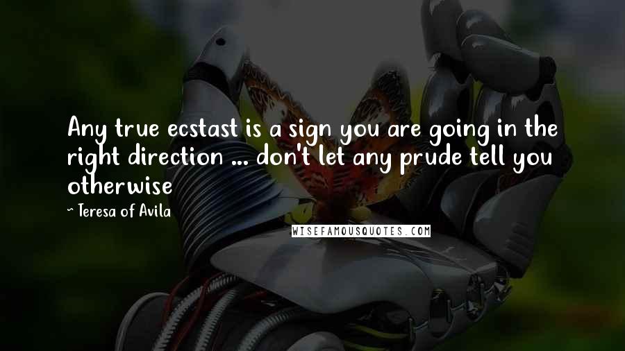 Teresa Of Avila Quotes: Any true ecstast is a sign you are going in the right direction ... don't let any prude tell you otherwise