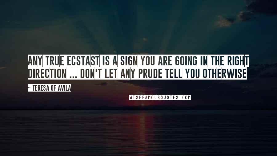 Teresa Of Avila Quotes: Any true ecstast is a sign you are going in the right direction ... don't let any prude tell you otherwise