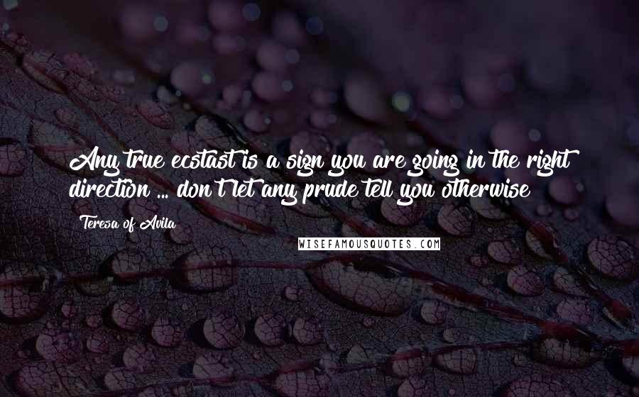 Teresa Of Avila Quotes: Any true ecstast is a sign you are going in the right direction ... don't let any prude tell you otherwise