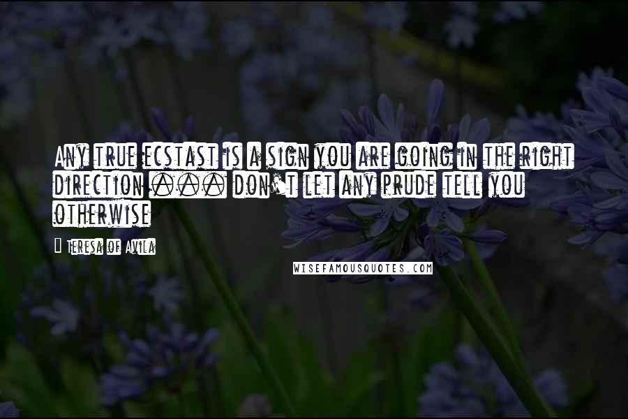 Teresa Of Avila Quotes: Any true ecstast is a sign you are going in the right direction ... don't let any prude tell you otherwise