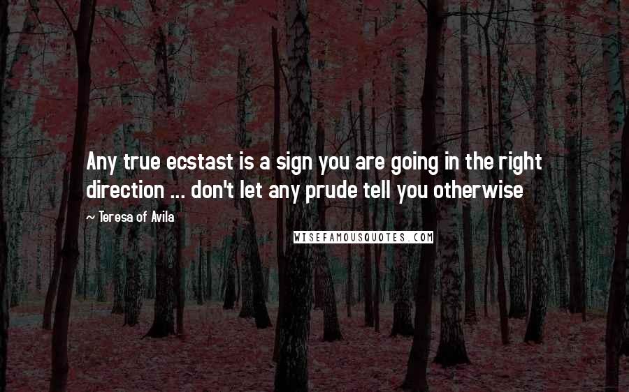 Teresa Of Avila Quotes: Any true ecstast is a sign you are going in the right direction ... don't let any prude tell you otherwise