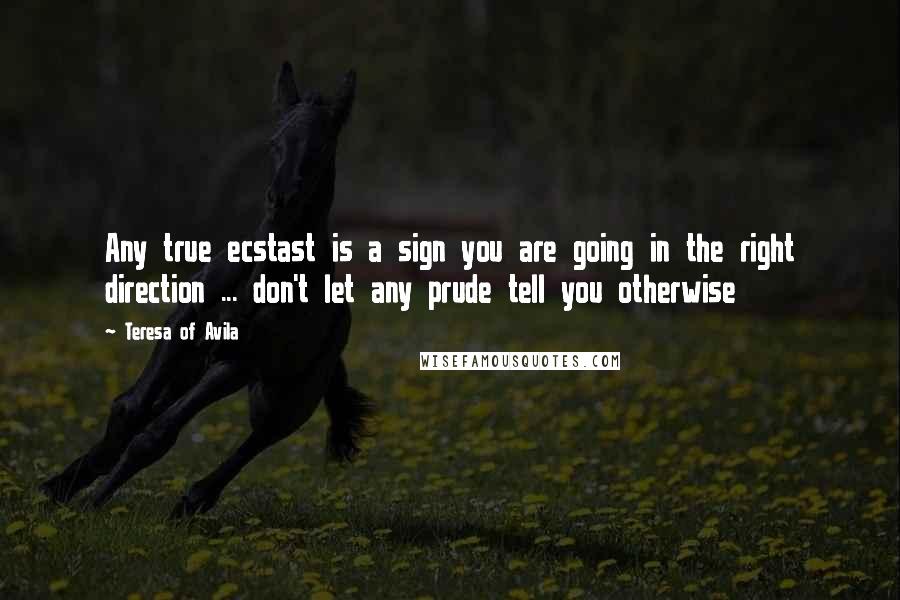 Teresa Of Avila Quotes: Any true ecstast is a sign you are going in the right direction ... don't let any prude tell you otherwise