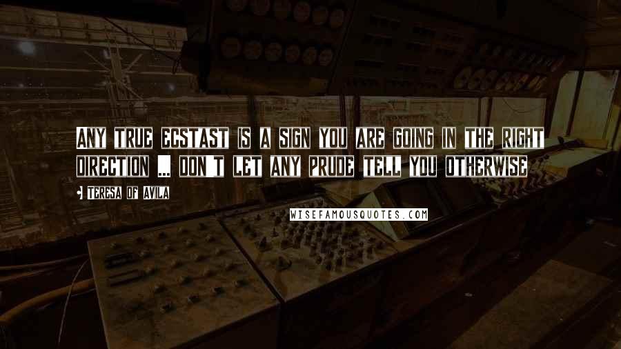 Teresa Of Avila Quotes: Any true ecstast is a sign you are going in the right direction ... don't let any prude tell you otherwise