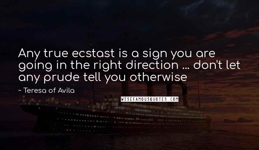 Teresa Of Avila Quotes: Any true ecstast is a sign you are going in the right direction ... don't let any prude tell you otherwise