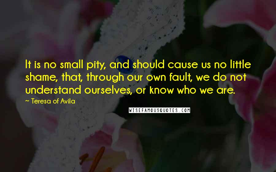 Teresa Of Avila Quotes: It is no small pity, and should cause us no little shame, that, through our own fault, we do not understand ourselves, or know who we are.