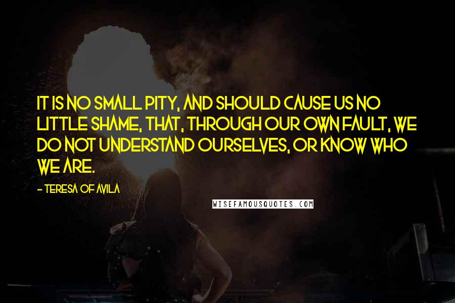 Teresa Of Avila Quotes: It is no small pity, and should cause us no little shame, that, through our own fault, we do not understand ourselves, or know who we are.