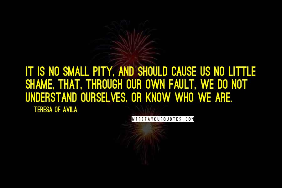 Teresa Of Avila Quotes: It is no small pity, and should cause us no little shame, that, through our own fault, we do not understand ourselves, or know who we are.